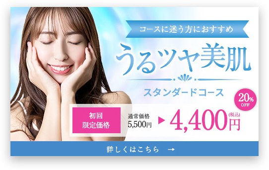 スタンダードコース